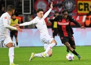 开云体育下载-包含霍芬海姆客场失利，保级局势变得棘手的词条