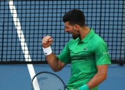 开云下载-关于日本网球队横扫欧洲网球队，德约科维奇高光表现的信息