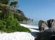 开云体育官网-雄鹿掌控节奏锁黄蜂，字母哥关键先生本色尽显