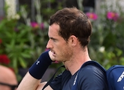 开云APP-英国网球队血洗澳大利亚网球队，穆雷完成帽子戏法的简单介绍