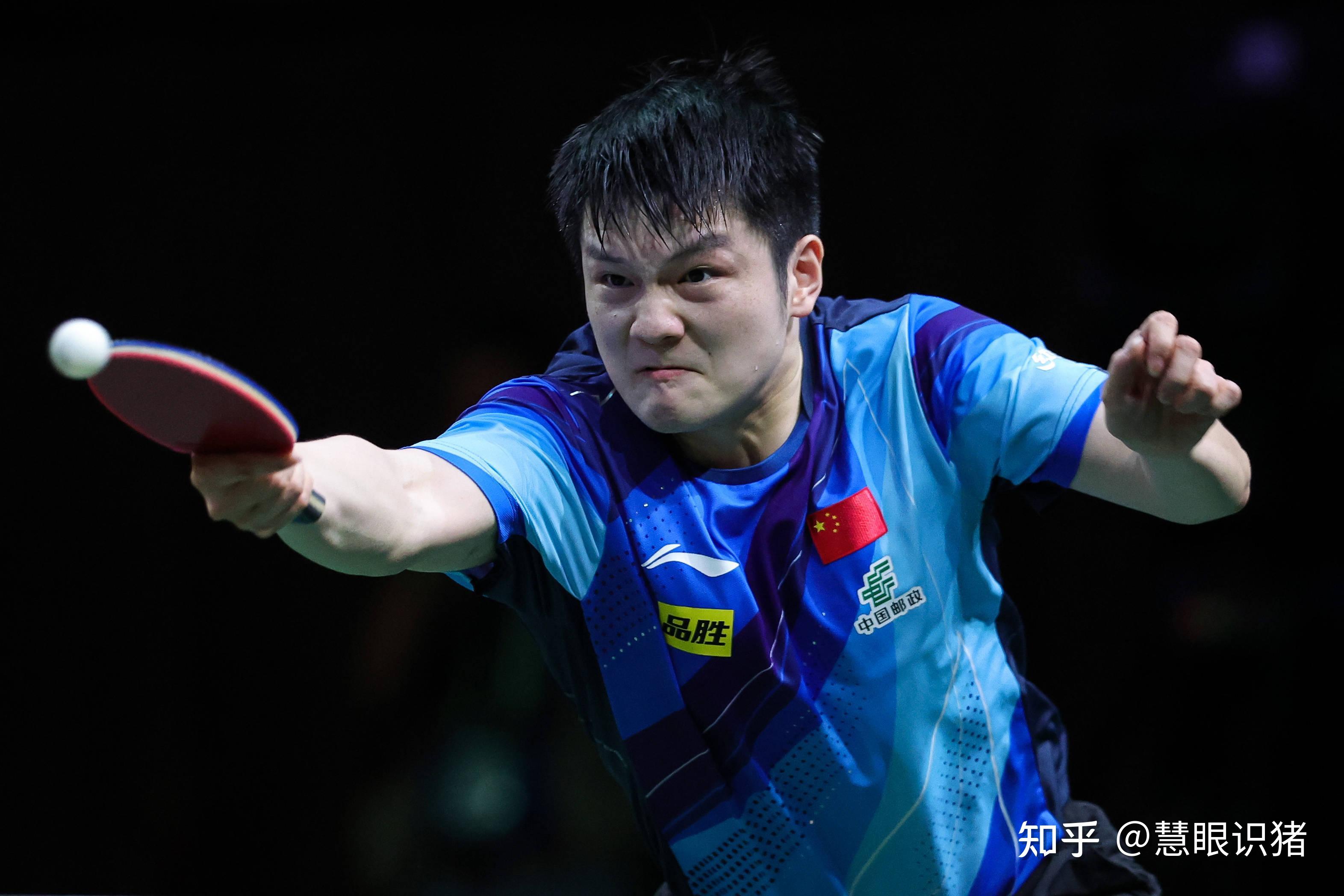 关于比利时乒乓球队翻盘韩国乒乓球队，樊振东高光表现的信息