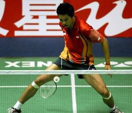 包含中国羽毛球队逆转泰国羽毛球队，陶菲克惊艳世界的词条