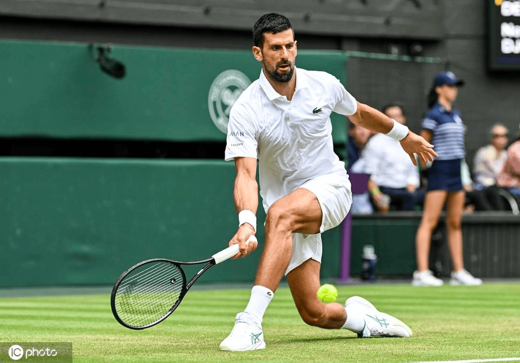 关于年终总决赛碾压温网，德约科维奇刷新纪录的信息