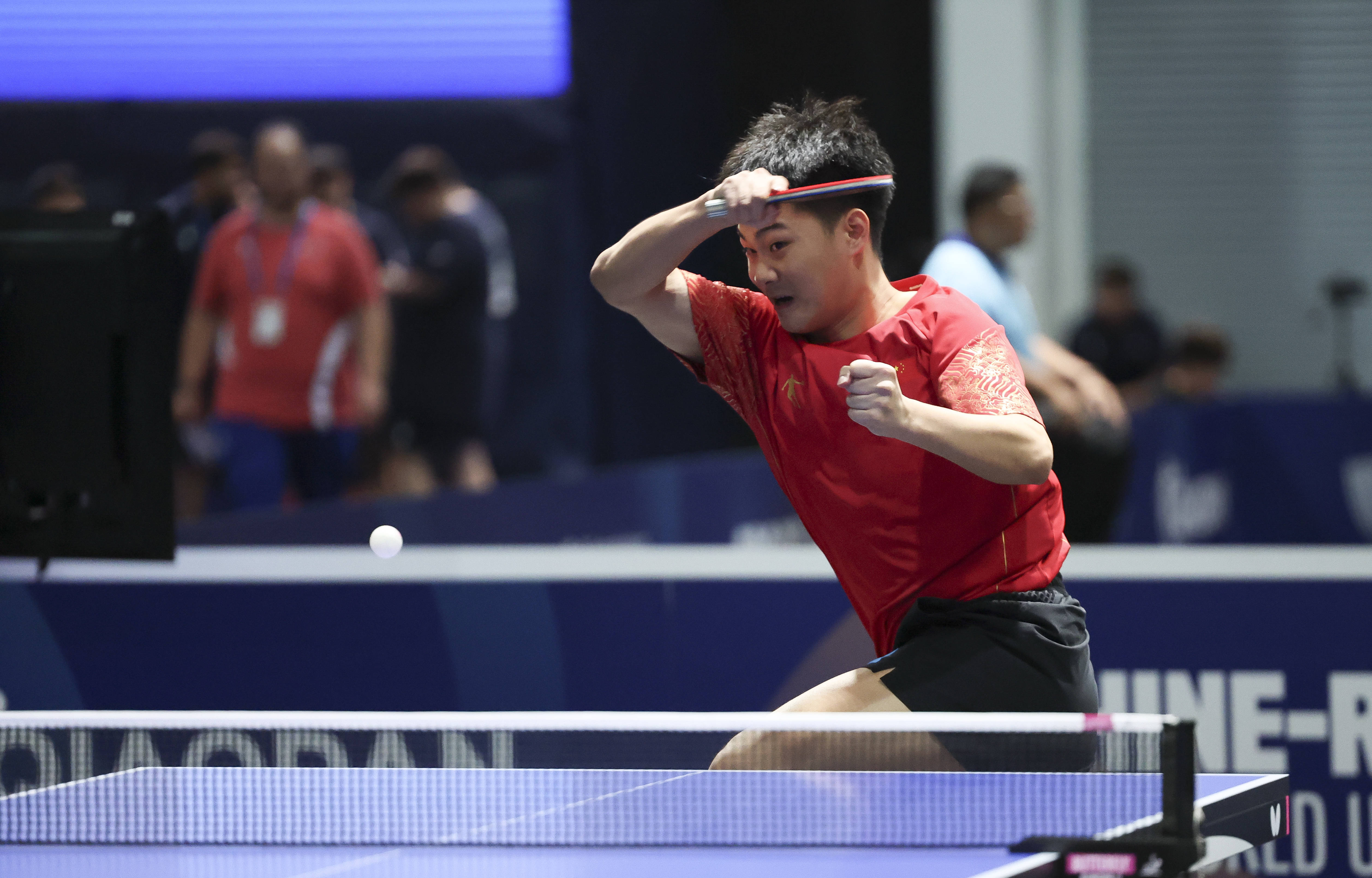 比利时乒乓球队横扫波兰乒乓球队，王皓统治全场的简单介绍